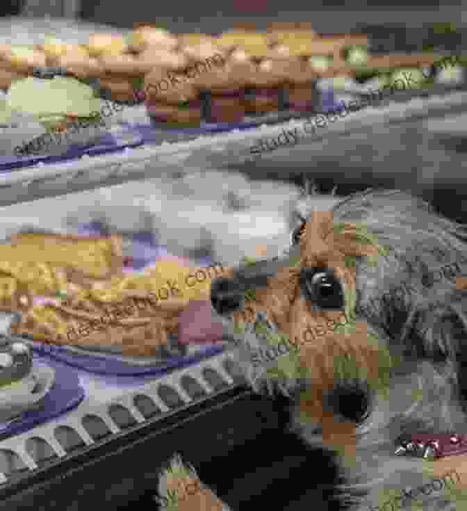 A Group Of Three Dog Bakery Treats, Including Cookies, Chews, And Specialty Treats, Displayed In A Bowl Made From Recycled Materials Short Tails And Treats From Three Dog Bakery