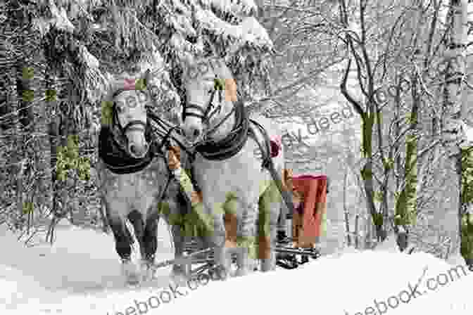 A Horse Drawn Sleigh In The Evening, Driving Through A Snowy Forest. Chicken Spots: And A Few More Read Aloud Poems For Kids