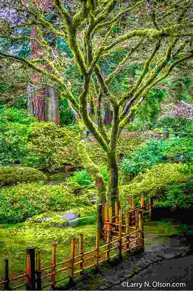 A Picturesque View Of The Portland Japanese Garden, Featuring Traditional Architecture, Blooming Cherry Trees, And Serene Landscapes, Inviting Visitors To Experience The Beauty Of Japanese Aesthetics. 5 Fun Free Fascinating Sights In Portland (5 Spot Ebook Travel Series)