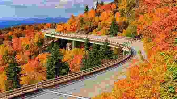 A Scenic View Of The American Auto Trail In South Carolina American Auto Trail South Carolina S U S Highways 25 And 178 (American Auto Trails)