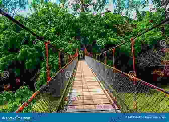 A Serene Lagoon With Lush Greenery And A Wooden Bridge Beachside Beginnings (Marigold Island 2)