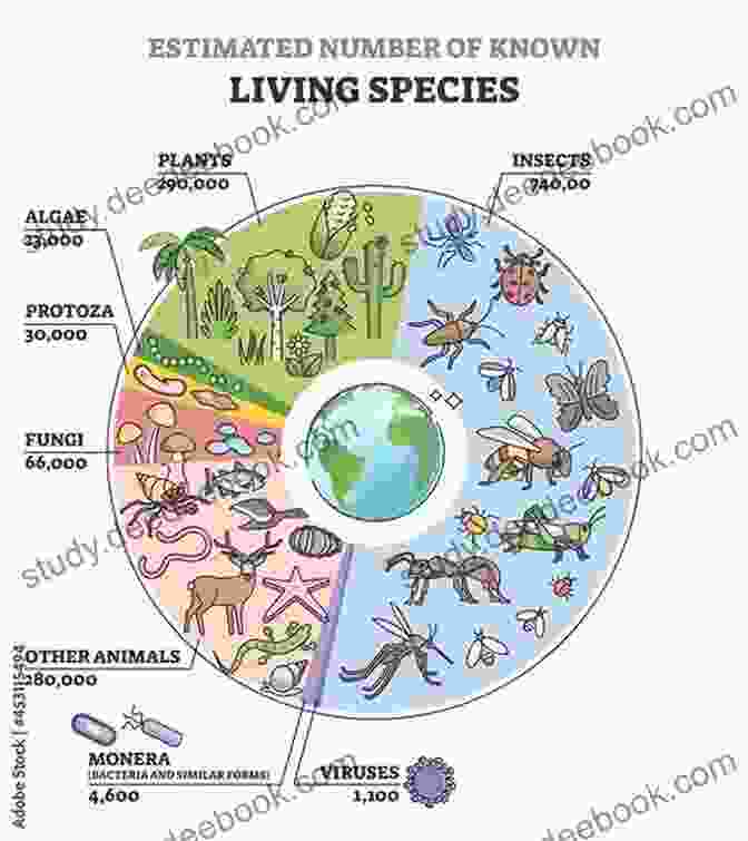 A Verdant Illustration Depicting The Incredible Diversity Of The Plant Kingdom. Children S Encyclopedia Life Sciences