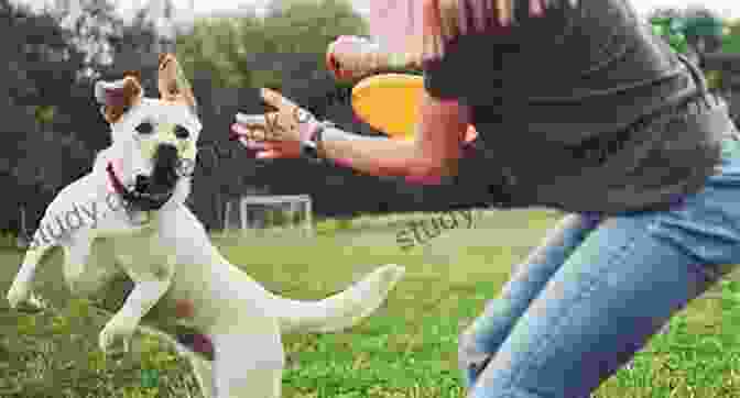 A Young Boy Surrounded By A Group Of Friendly And Playful Dogs Too Many Dogs (Step Into Reading)