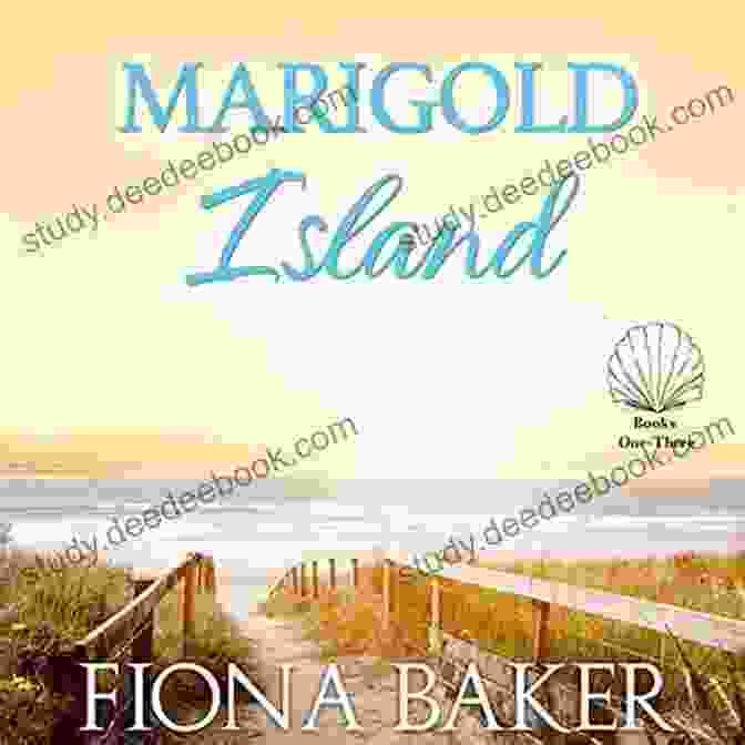 Accommodation Options On Marigold Island Beachside Secrets (Marigold Island 4)