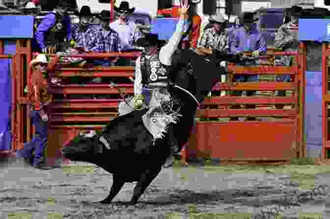 Bob Huey Riding A Bull In A Rodeo Arena. Bob Huey Me Wendy Christensen