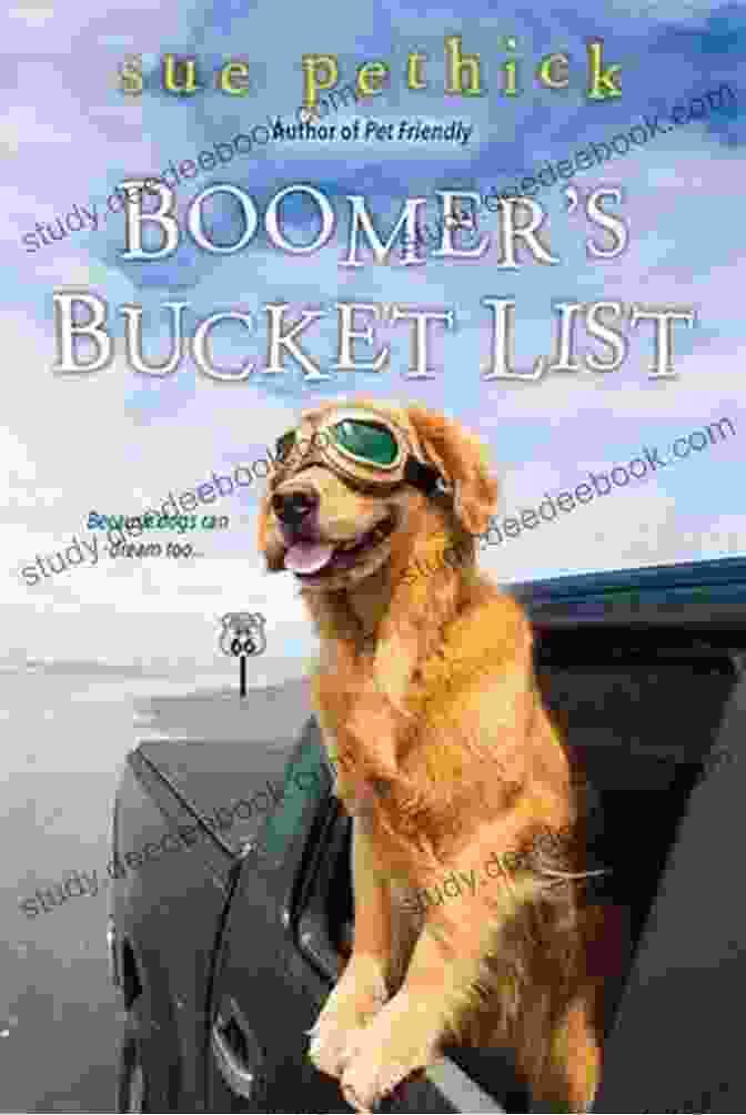 Boomer Bucket List Sue Pethick Skydiving Boomer S Bucket List Sue Pethick