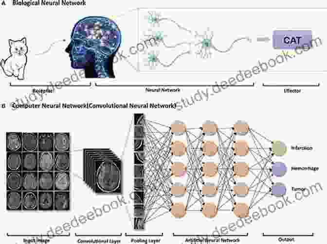 Deep Learning Neural Network For Healthcare And Medicine The Deep Learning Revolution Terrence J Sejnowski