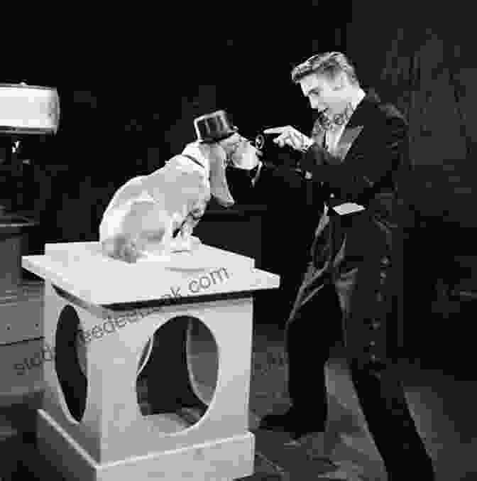 Elvis Presley Performing Hound Dog 25 Best Songs Of Elvis Presley