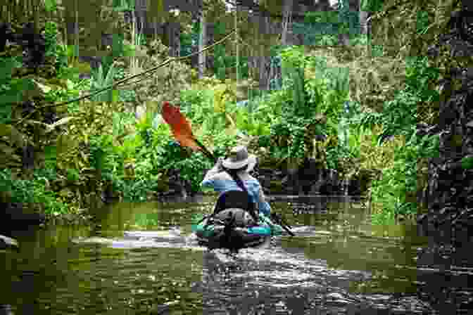 Exploring The Rainforest On Marigold Island Beachside Secrets (Marigold Island 4)