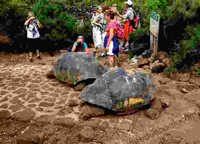 Galapagos Islands Coastal World Heritage Sites (Coastal Research Library 28)