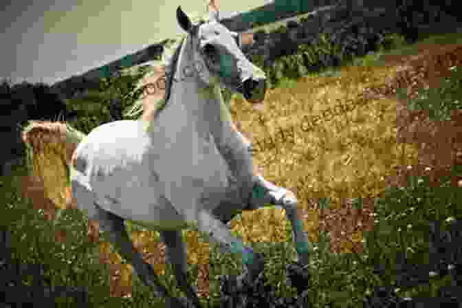 Julianna, Astride A Magnificent White Horse, Gallops Across A Vast And Rugged Landscape, The Sky Above Dotted With Soaring Falcons. Her Expression Conveys A Sense Of Exhilaration And Freedom. Sky Rider Nancy Springer