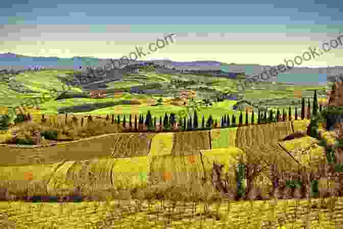 Rolling Hills And Vineyards In Tuscany, Italy The Mandolin Lesson: A Journey Of Self Discovery In Italy