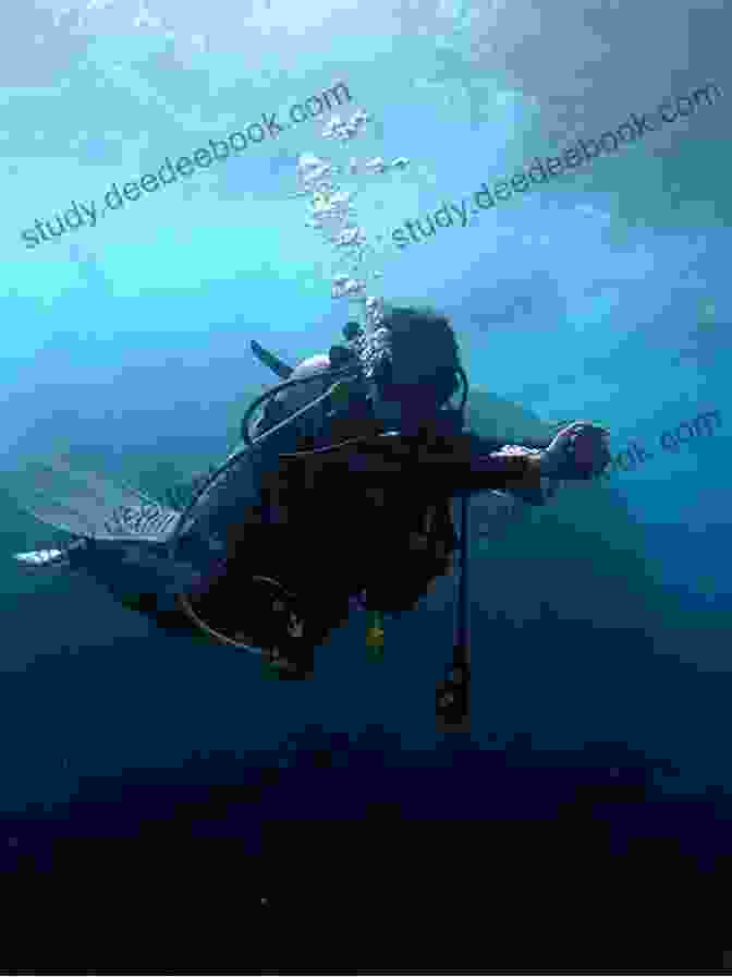 Scuba Diving In Blue Heaven Welcome To The Blue Heaven: Don T Bet Against The Goal Keeper