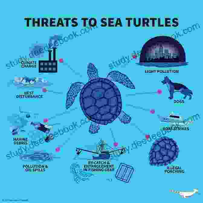 Sea Turtle Conservation Diagram The Biology Of Sea Turtles Volume III (CRC Marine Biology Series)