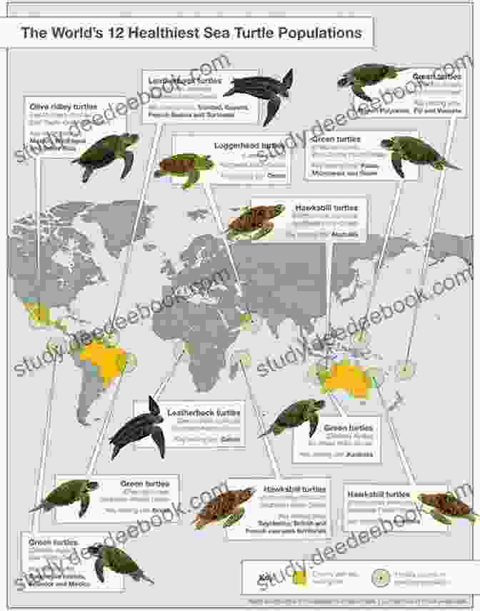 Sea Turtle Population Dynamics Diagram The Biology Of Sea Turtles Volume III (CRC Marine Biology Series)