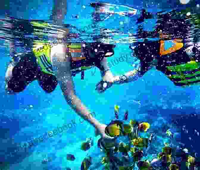 Snorkeling In Blue Heaven Welcome To The Blue Heaven: Don T Bet Against The Goal Keeper