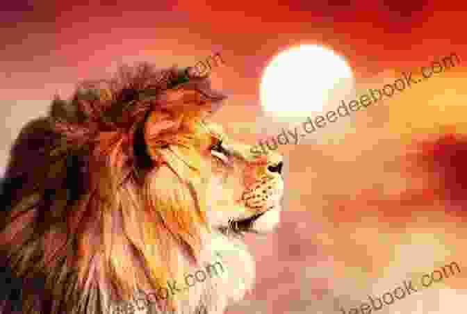 The Lion Is In Book Cover Featuring A Majestic Lion Against A Vibrant Sunset Backdrop The Lion Is In: A Novel