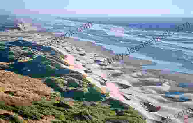 The Oregon Dunes National Recreation Area, A Large Area Of Sand Dunes Oregon Travel Guide With 100 Landscape Photos