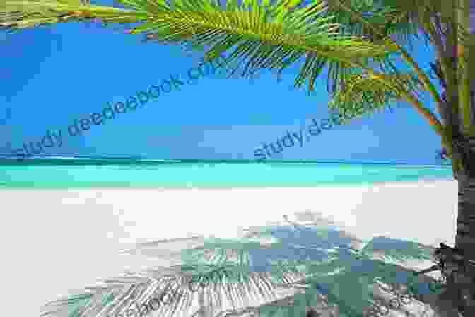 Tranquil Beach On Marigold Island Beachside Secrets (Marigold Island 4)