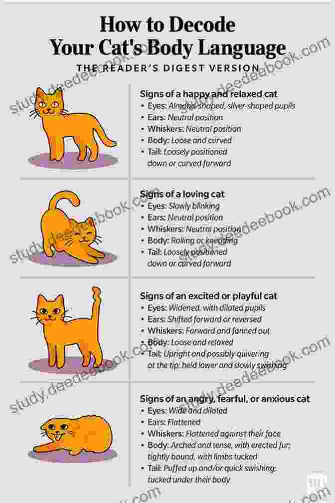 Understanding Cat Body Language Is Crucial For Effective Persuasion. Outwitting Cats: Tips Tricks And Techniques For Persuading The Felines In Your Life That What YOU Want Is Also What THEY Want