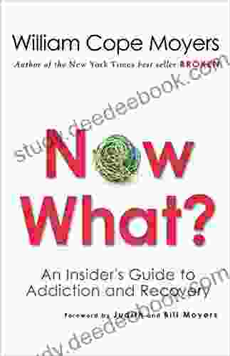 Now What?: An Insider S Guide To Addiction And Recovery