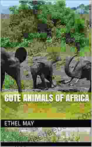 Cute Animals of Africa Ethel May