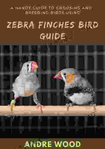 A Handy Guide To Choosing And Breeding Birds Using Zebra Finches Bird Guide