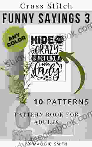 Funny Cross Stitch Sayings 3 Pattern For Adults: Large Counted Snarky Designs For Simple Stitching Customizable Colors (Funny Sayings Cross Stitch Patterns)