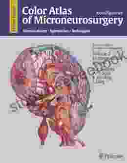 Color Atlas of Microneurosurgery Volume 2: Cerebrovascular Lesions: Microanatomy Approaches and Techniques