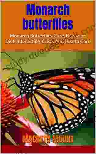 Monarch Butterflies : Monarch Butterflies Care Behavior Diet Interacting Costs And Health Care