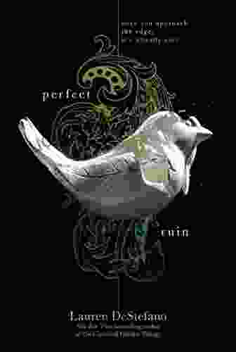 Perfect Ruin (The Internment Chronicles 1)