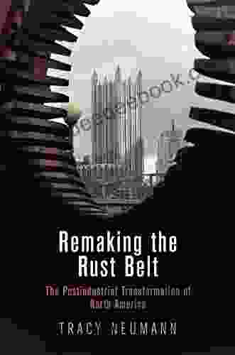 Remaking The Rust Belt: The Postindustrial Transformation Of North America (American Business Politics And Society)