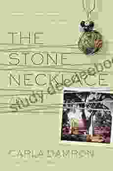 The Stone Necklace: A Novel (Story River Books)