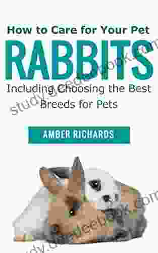 How To Care For Your Pet Rabbits: Including Choosing The Best Breeds For Pets