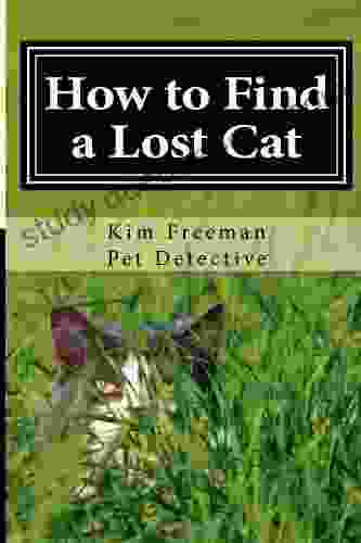 How To Find A Lost Cat: Proven Advice From A Pet Detective