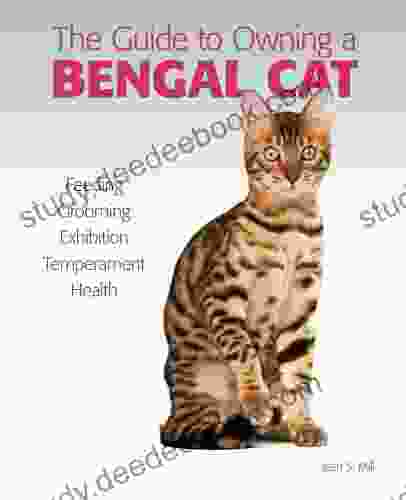 Guide To Owning A Bengal Cat
